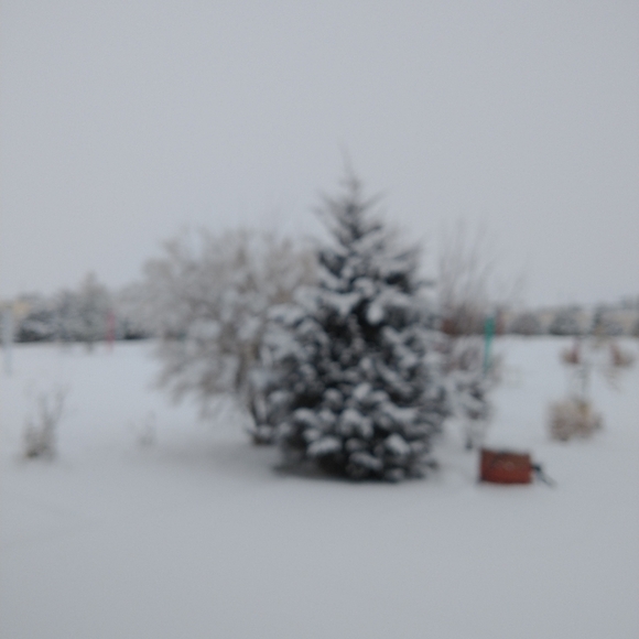 Hot Plate by Wendell August- USA - Picture 9 of 10